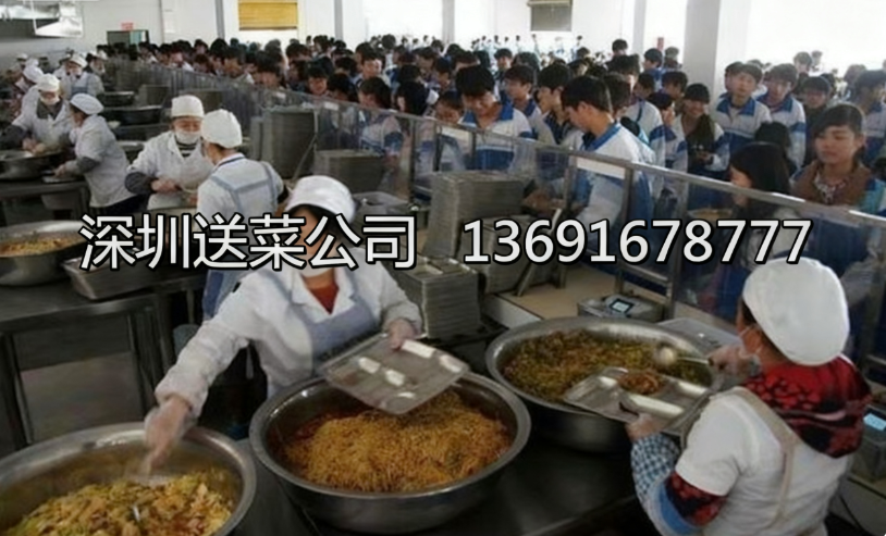 學校如何判斷送菜公司食材質量是否合格？
