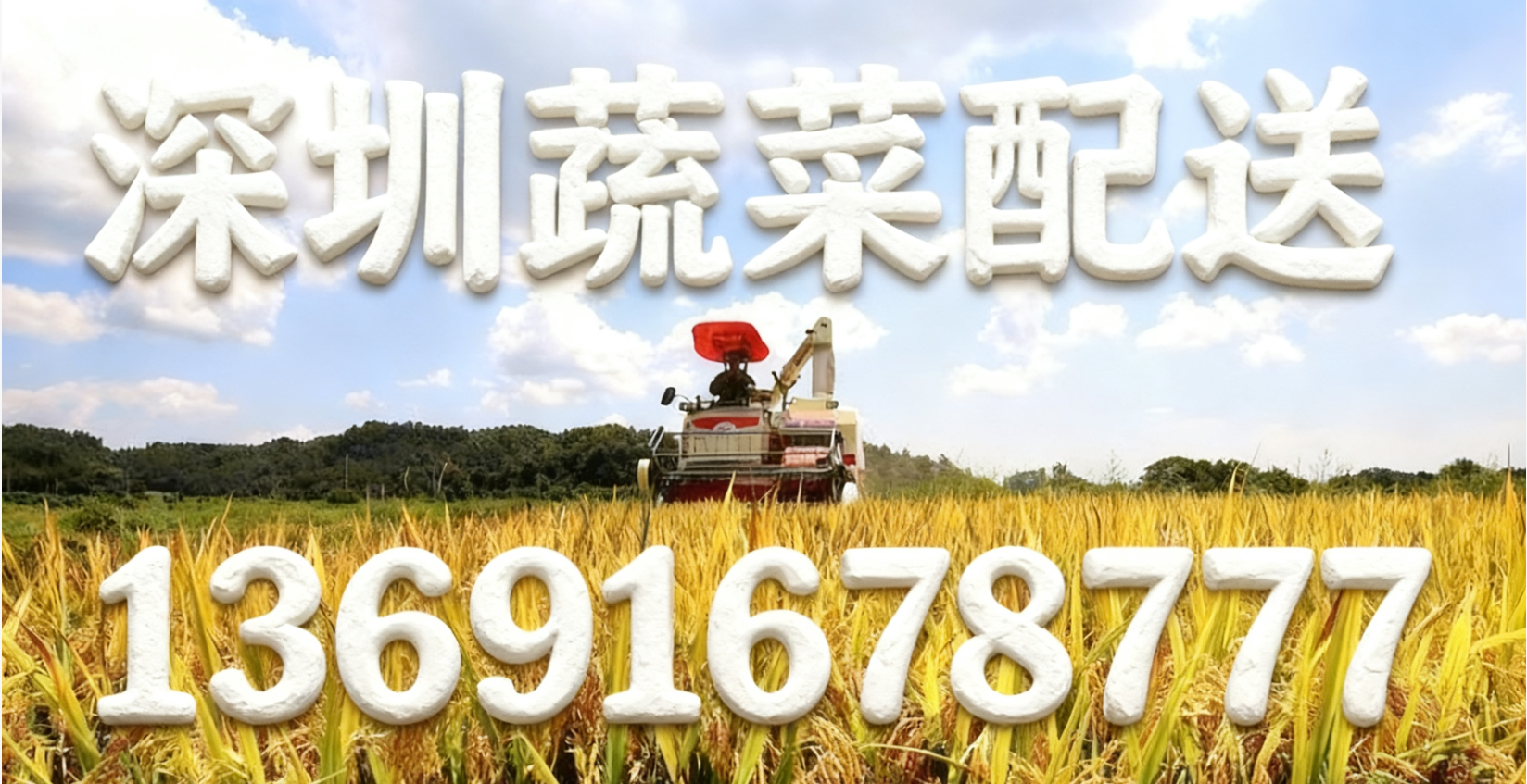 東莞蔬菜配送中心?解讀:“十五五” 怎么讓大家吃得更穩、更優？